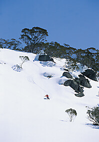 Skiing Australia