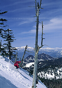 Skiing Japan